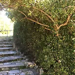 Belvedere 3*