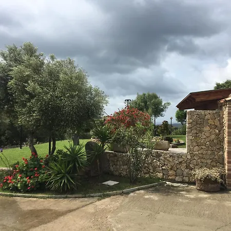 Отель Belvedere 3*