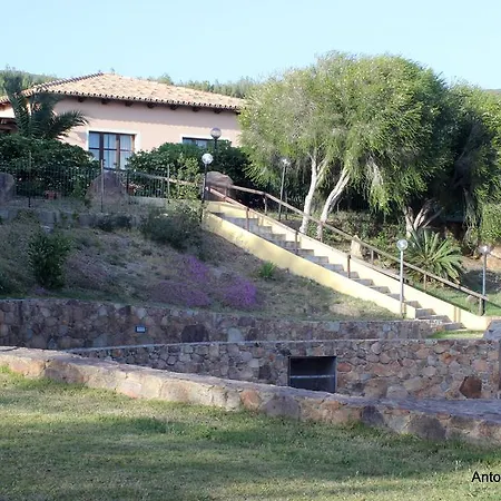 Belvedere